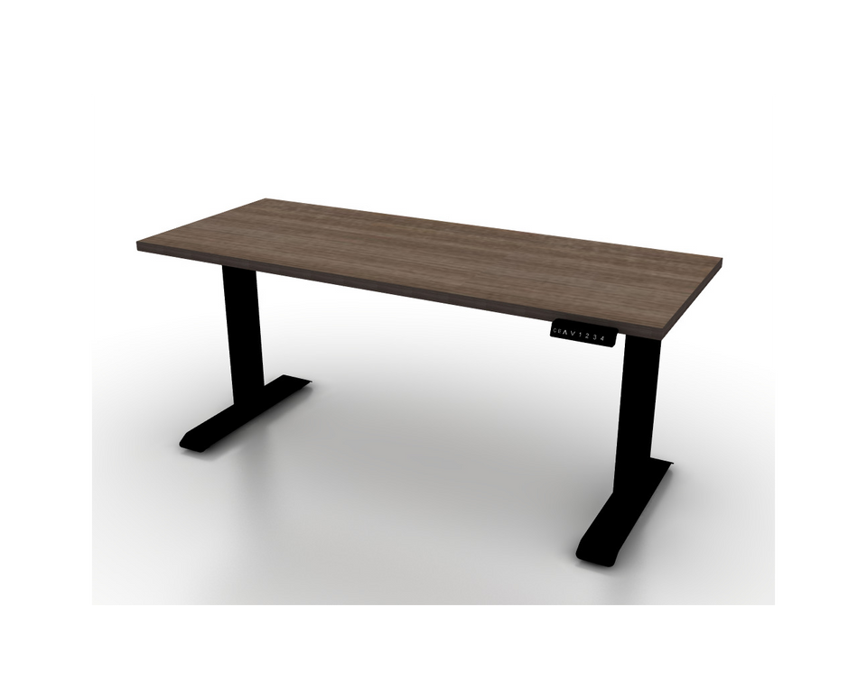 RLS Sit/Stand Desk 30" X 60"